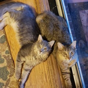 Meet your Posher, Jamie rose